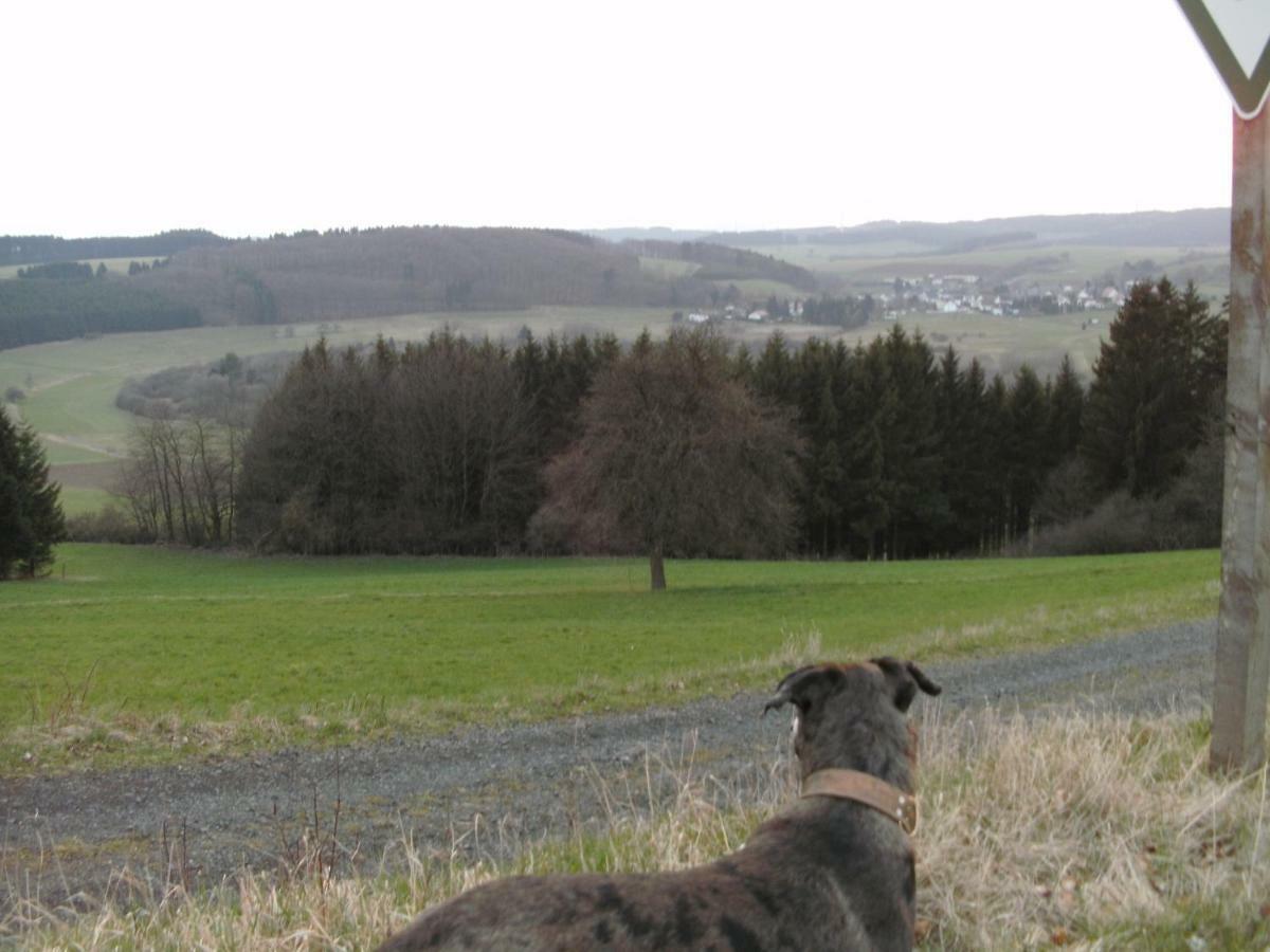 Funny-Farm Villa Sassen Exterior photo